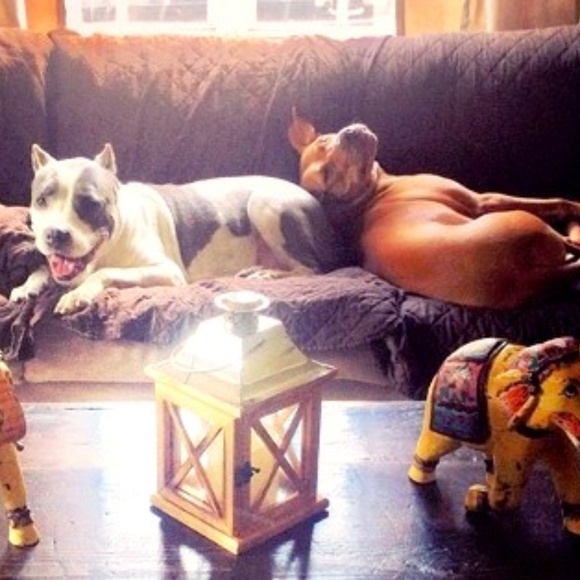 Meet your Posher, Carla - Picture 1 of 1